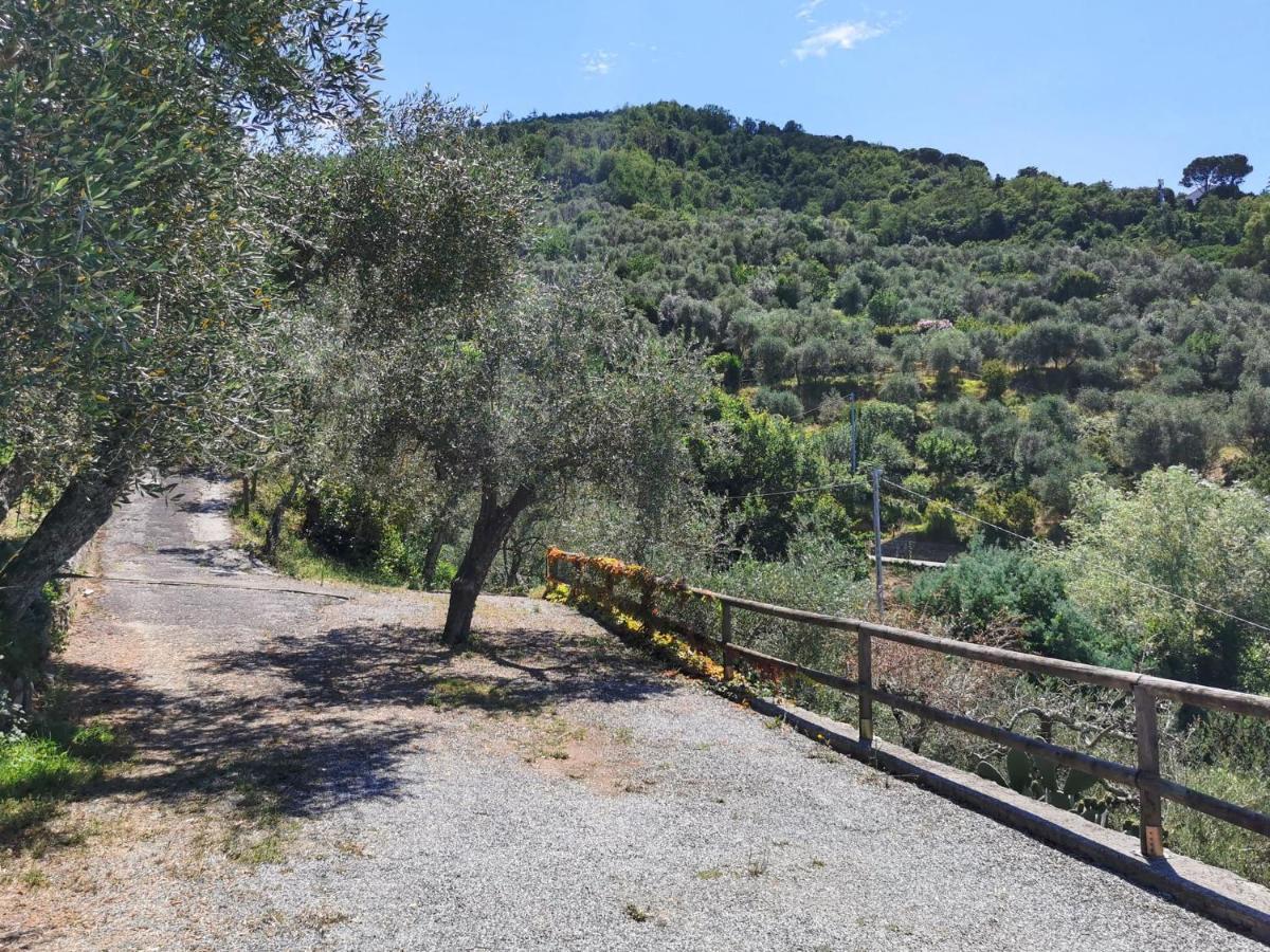 il Frantoio del Mesco - Levanto Esterno foto